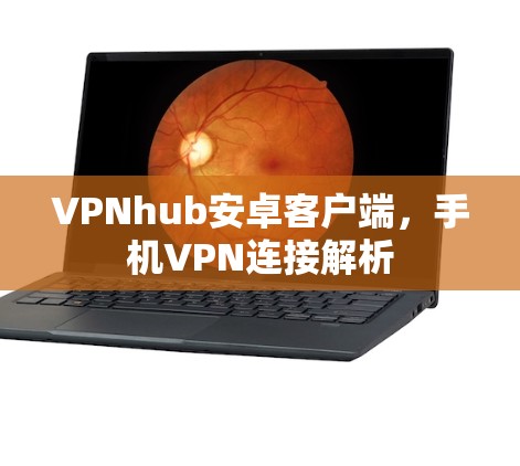 VPNhub安卓客户端,手机VPN连接解析 VPNhub安卓客户端,手机VPN连接解析