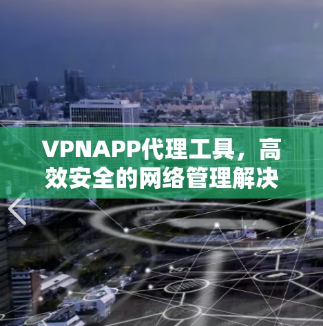 VPNAPP代理工具,高效安全的网络管理解决方案 VPNAPP代理工具,高效安全的网络管理解决方案