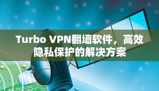 Turbo VPN翻墙软件，高效隐私保护的解决方案