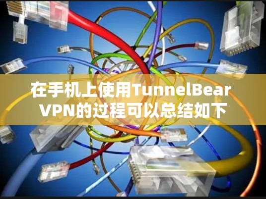 在手机上使用TunnelBear VPN的过程可以总结如下
