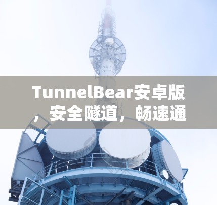 TunnelBear安卓版，安全隧道，畅速通行