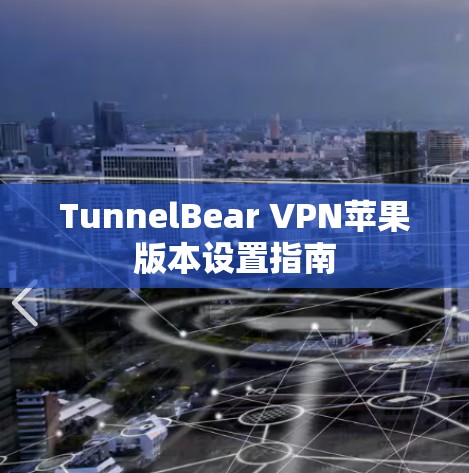 TunnelBear VPN苹果版本设置指南
