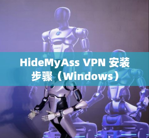 HideMyAss VPN 安装步骤（Windows）