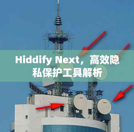 Hiddify Next，高效隐私保护工具解析