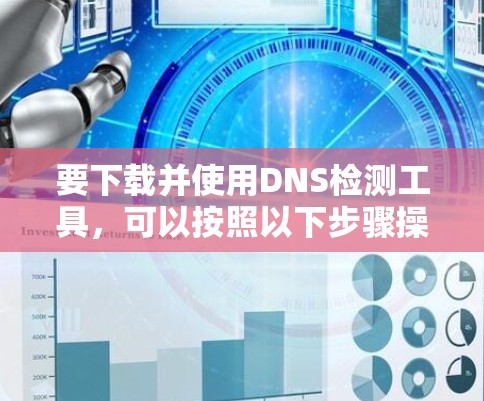 要下载并使用DNS检测工具，可以按照以下步骤操作