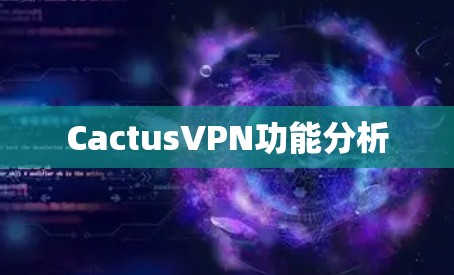 CactusVPN功能分析 CactusVPN功能分析