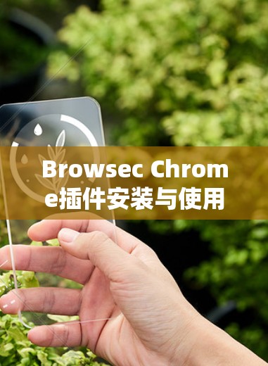 Browsec Chrome插件安装与使用教程