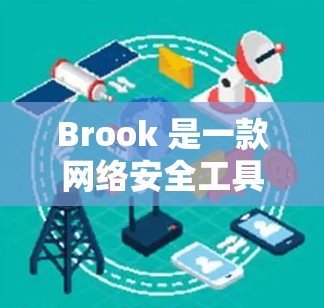 Brook 是一款网络安全工具，主要用于网络安全审计、渗透测试、漏洞管理和安全事件响应等领域。它可以帮助用户进行网络安全评估、发现安全漏洞、分析威胁和事件，以及管理网络安全配置