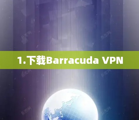 1.下载Barracuda VPN