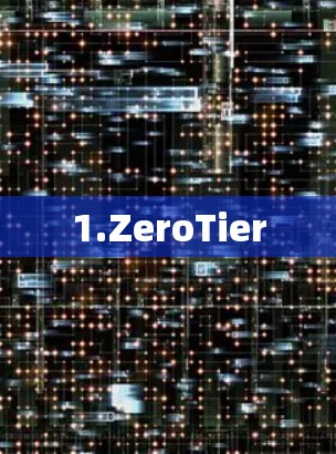 1.ZeroTier 1.ZeroTier