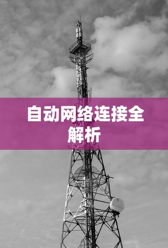 自动网络连接全解析