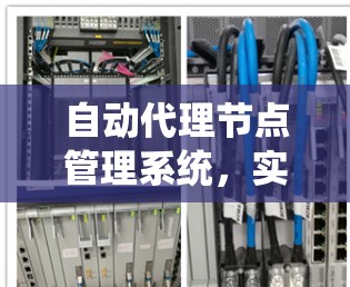 自动代理节点管理系统，实现网络自主化与高效维护