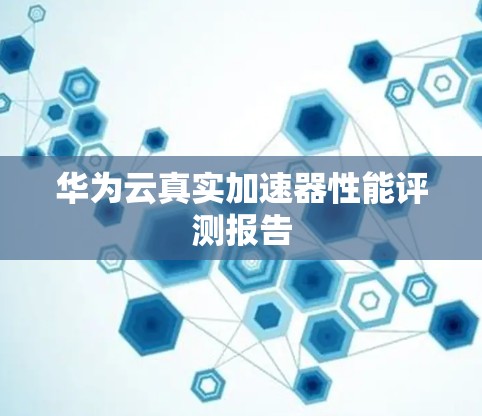 华为云真实加速器性能评测报告 华为云真实加速器性能评测报告