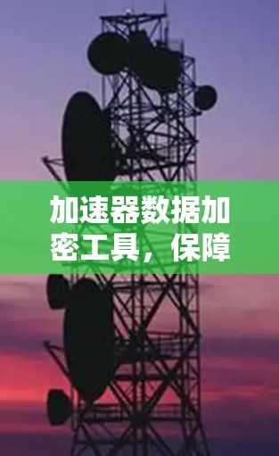 加速器数据加密工具，保障高性能计算安全