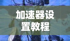 加速器设置教程 加速器设置教程