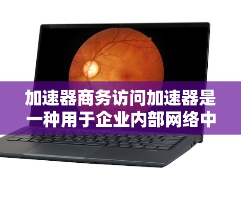 加速器商务访问加速器是一种用于企业内部网络中，提升员工访问外部资源速度和效率的解决方案。以下是对加速器商务访问加速器的详细分析