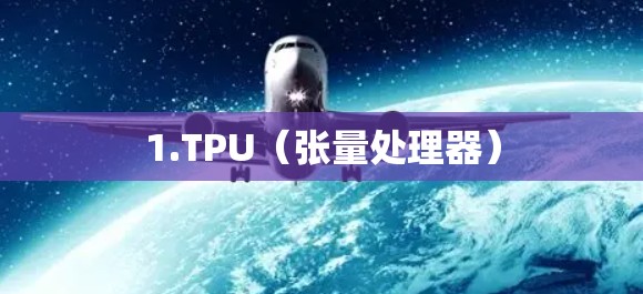 1.TPU（张量处理器）