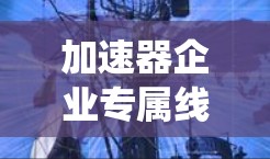 加速器企业专属线路是一种高度定制化、性能优越的数据处理系统，专为特定加速器设计，满足复杂实验需求的高精度和实时性要求。以下是对加速器企业专属线路的详细分析
