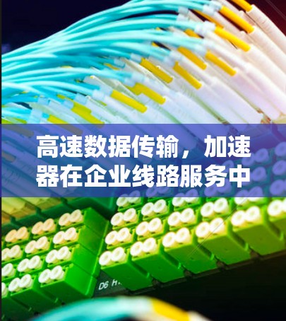 高速数据传输，加速器在企业线路服务中的应用与挑战