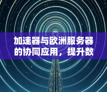 加速器与欧洲服务器的协同应用，提升数据处理效率