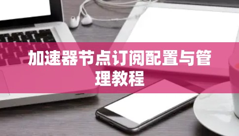 加速器节点订阅配置与管理教程