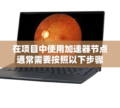 在项目中使用加速器节点通常需要按照以下步骤进行导入和配置