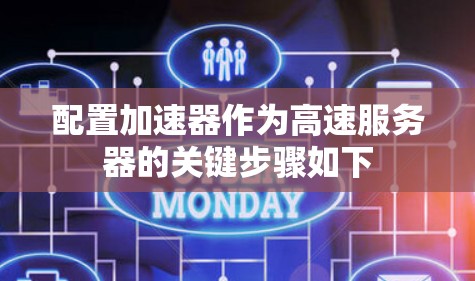 配置加速器作为高速服务器的关键步骤如下 配置加速器作为高速服务器的关键步骤如下