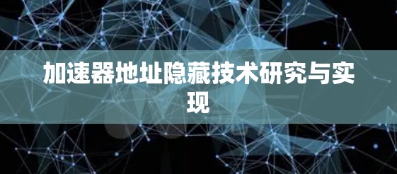 加速器地址隐藏技术研究与实现