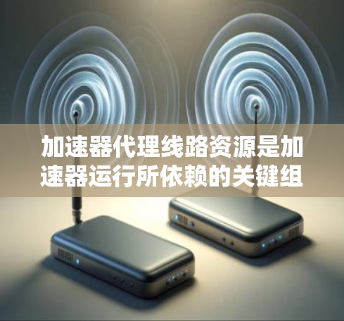 加速器代理线路资源是加速器运行所依赖的关键组成部分，涵盖了硬件、软件、数据和网络等多个方面。以下是对加速器代理线路资源的详细分析和总结