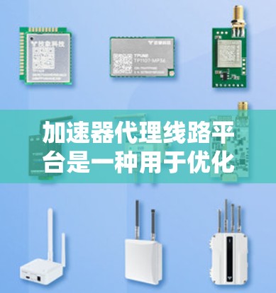 加速器代理线路平台是一种用于优化数据传输和加速的解决方案，特别适用于在复杂网络环境中处理大规模数据传输任务。以下是对这一平台的详细分析