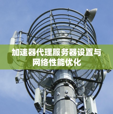 加速器代理服务器设置与网络性能优化 加速器代理服务器设置与网络性能优化