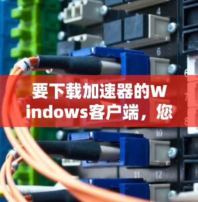 要下载加速器的Windows客户端，您可以按照以下步骤操作