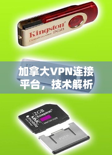 加拿大VPN连接平台，技术解析与应用场景分析
