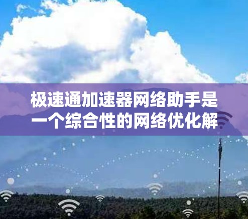 极速通加速器网络助手是一个综合性的网络优化解决方案，旨在帮助用户在复杂网络环境中提高网络性能和加速网络连接。以下是对该工具的详细分析和总结